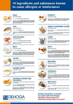 Allergenposter - englische Version (laminiert) 